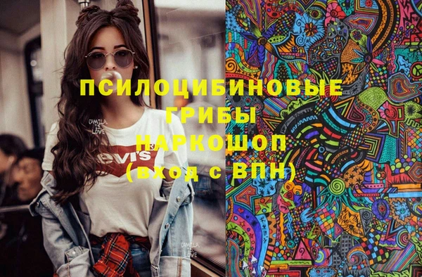 стафф Братск